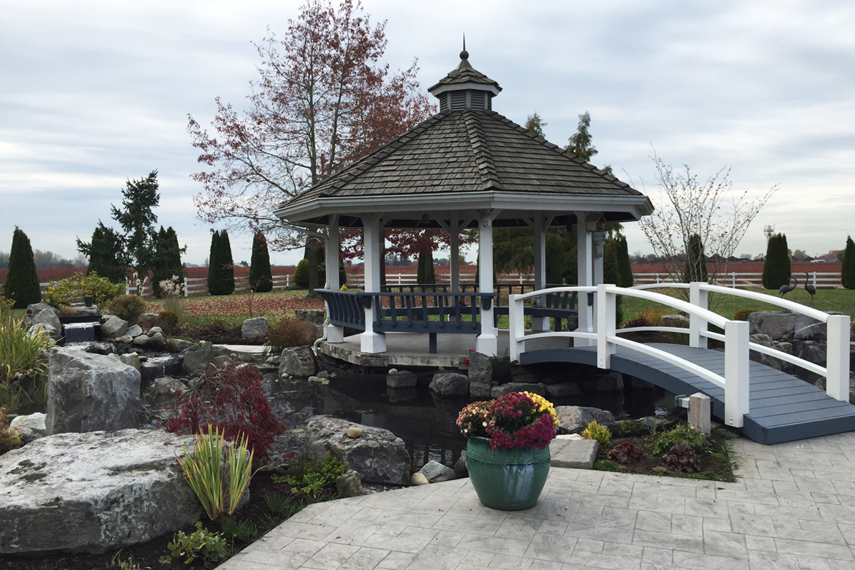 Ladner Koi Pond After