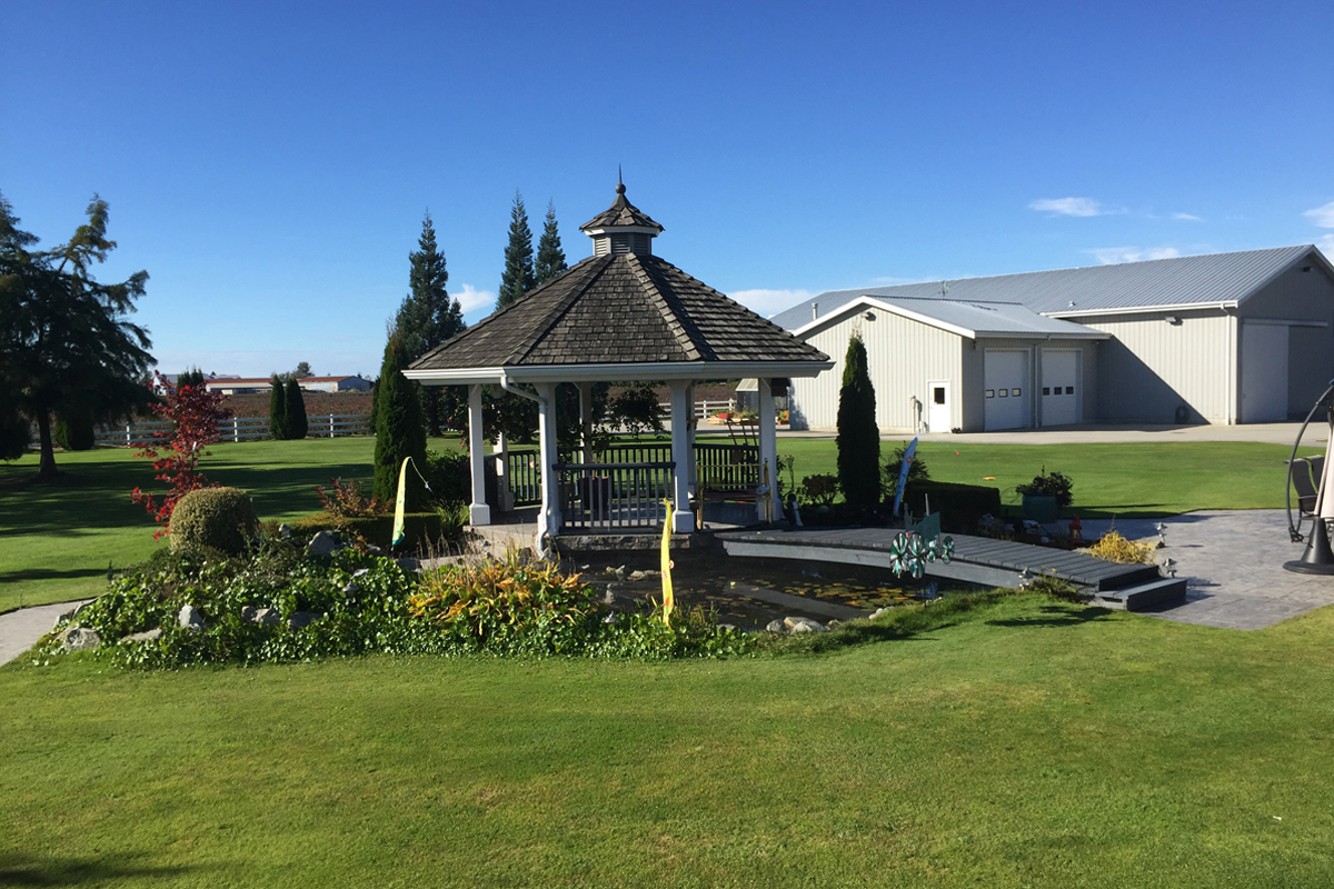 Ladner Koi Pond Before