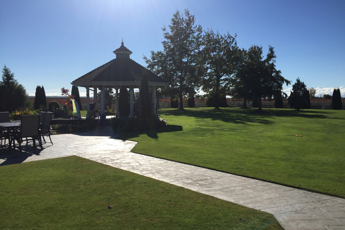 Ladner Koi Pond Before