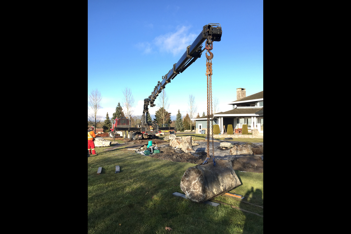 Ladner Koi Pond During