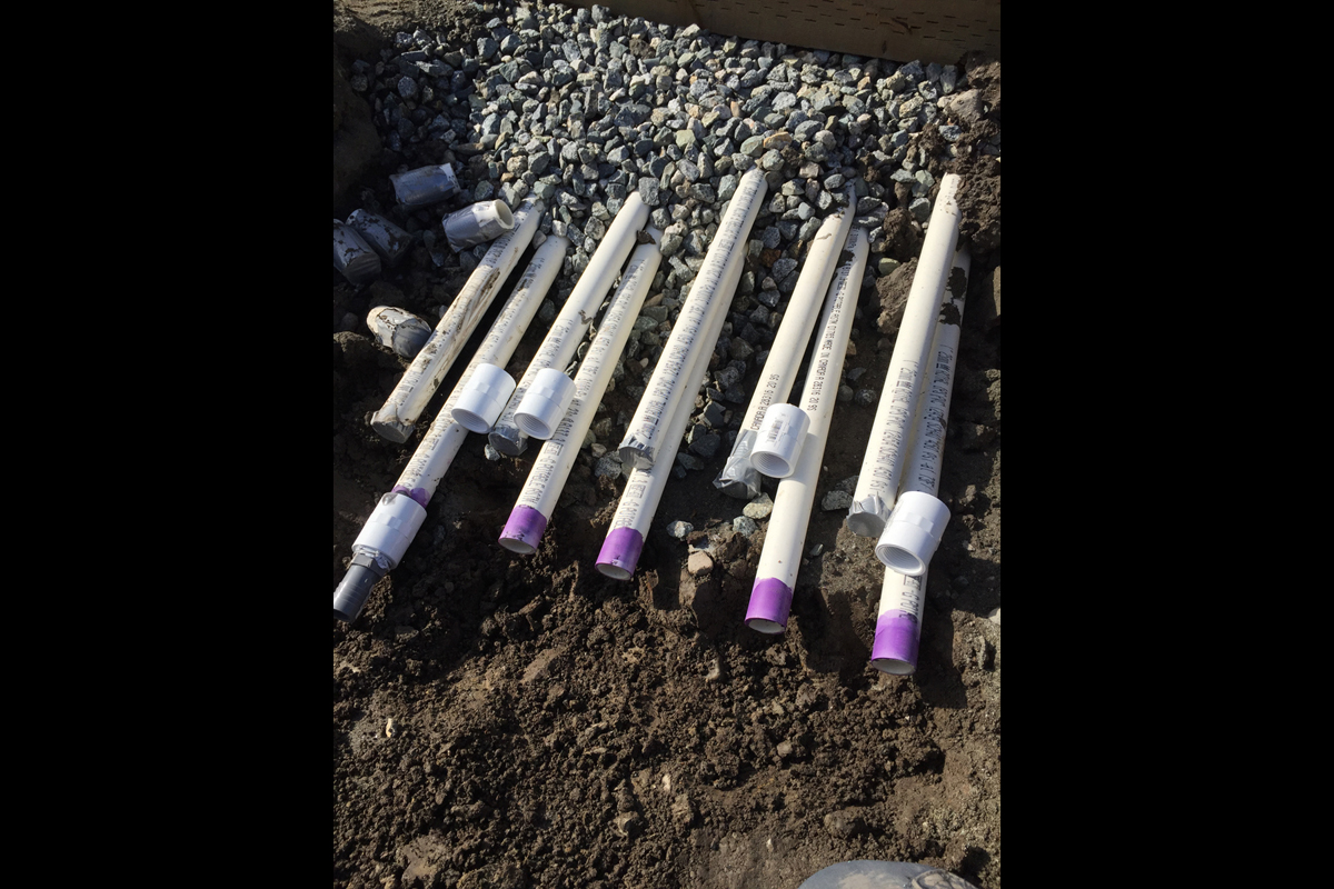 Ladner Koi Pond During