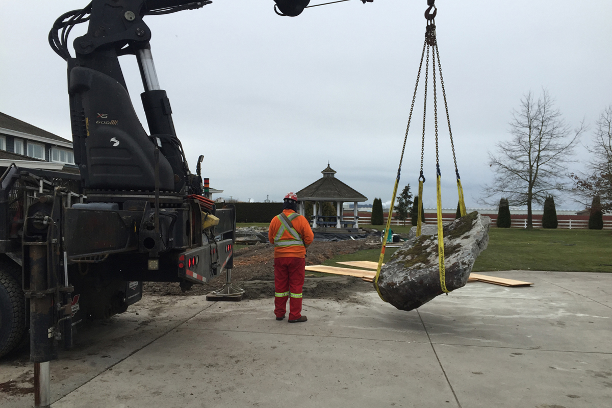 Ladner Koi Pond During