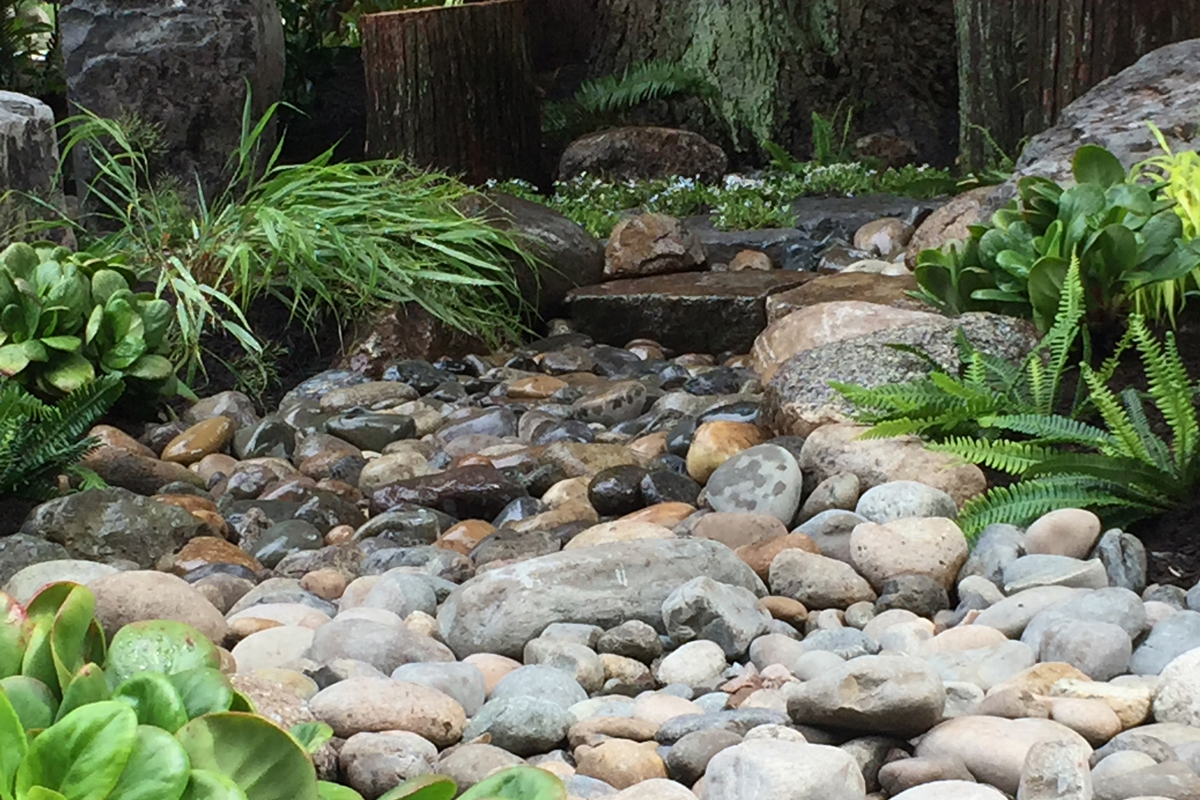 South Surrey 3 After