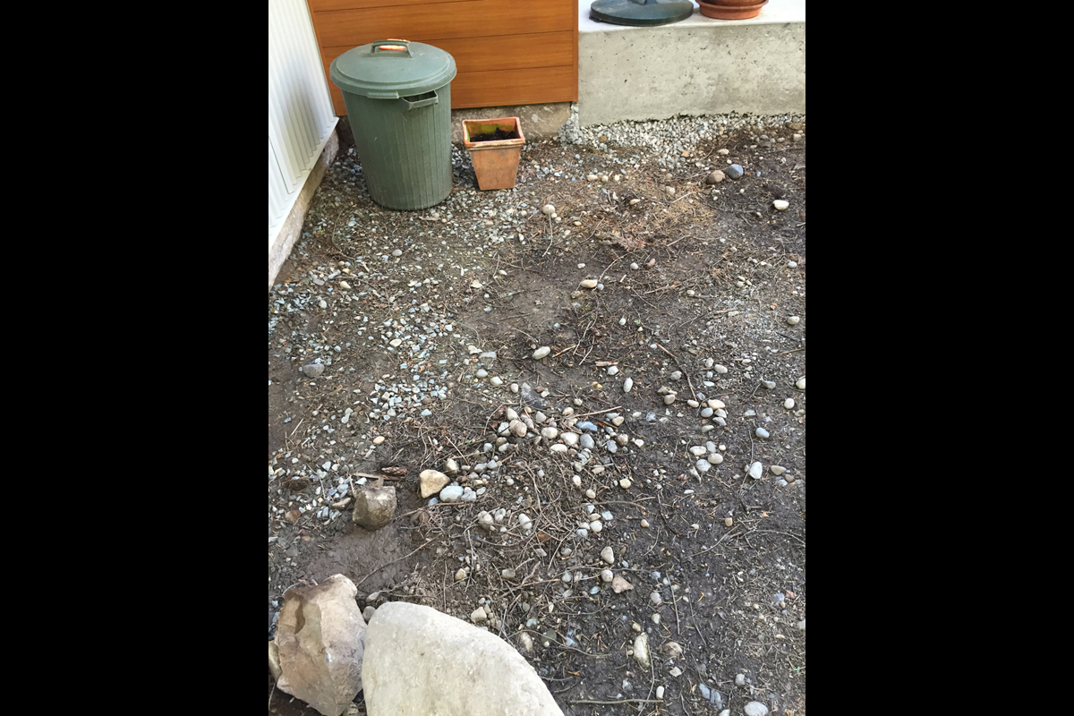 South Surrey 3 Before