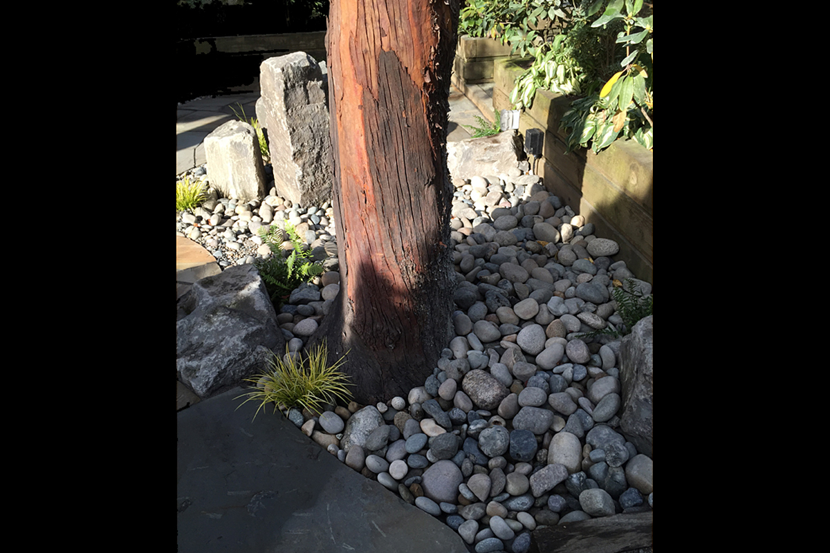 South Surrey 2 After