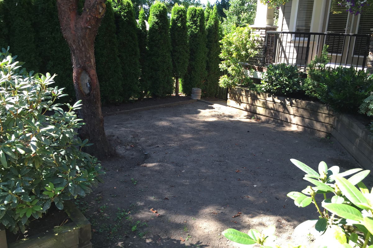 South Surrey 2 Before